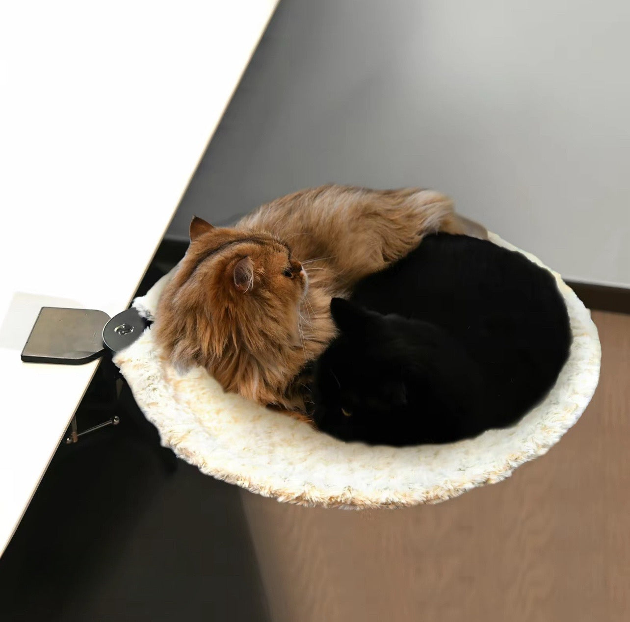 Hanging Cat Bed
